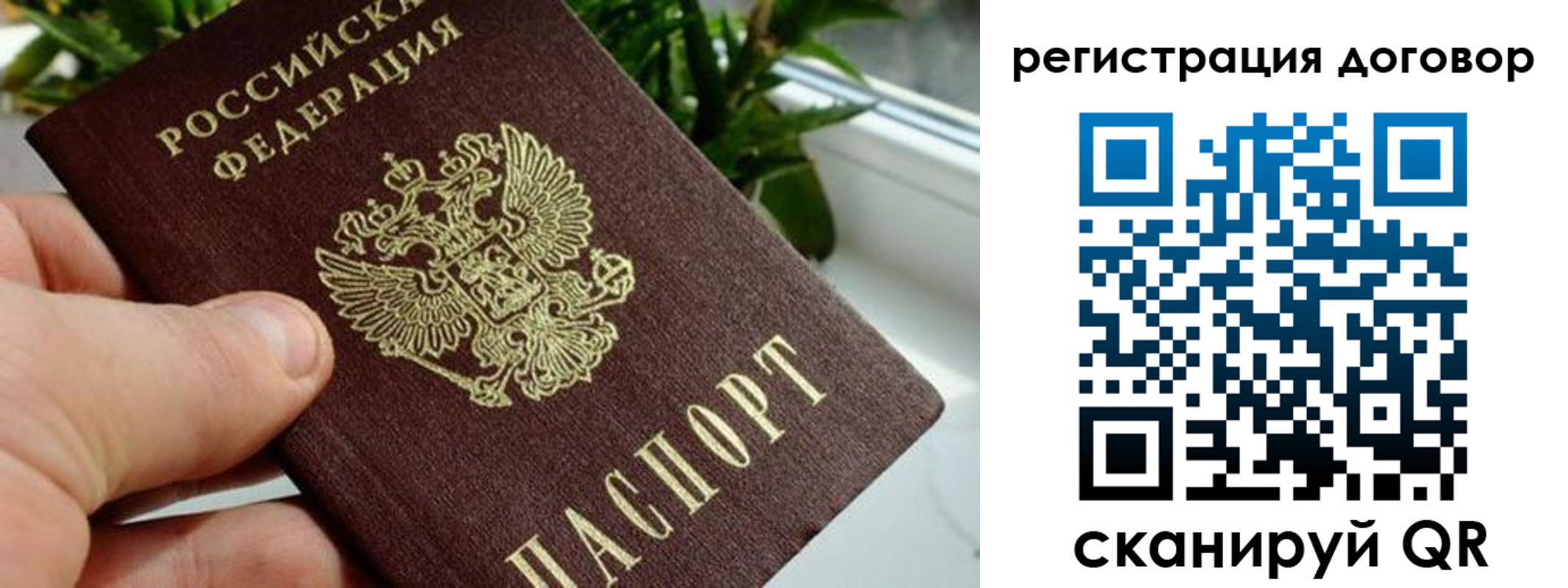 прописка ребенка в Медногорске